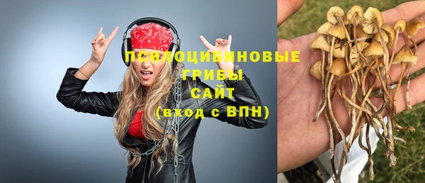 твердый Алзамай
